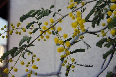 f0054977_955784.jpg