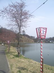 c0144683_164337.jpg