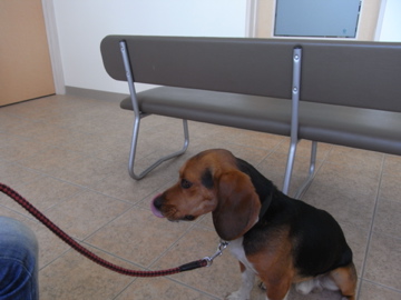 d0137083_21455340.jpg