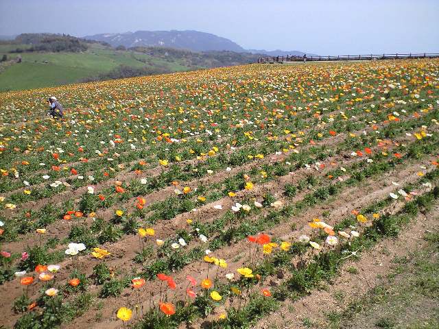 f0051283_1801613.jpg
