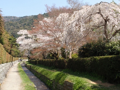 c0105785_9153440.jpg