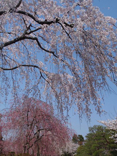 c0105785_92716.jpg