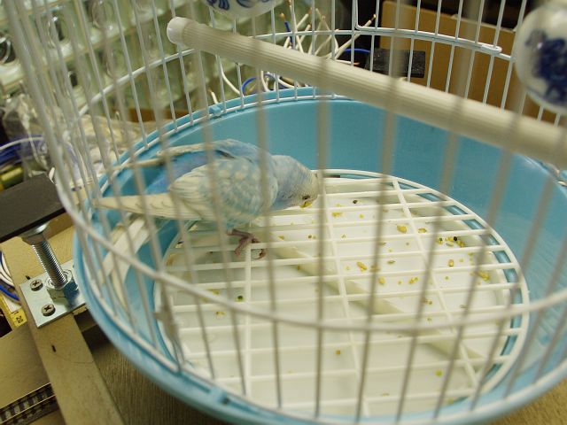 b0062687_2215826.jpg