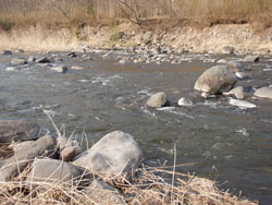 b0068687_3374786.jpg
