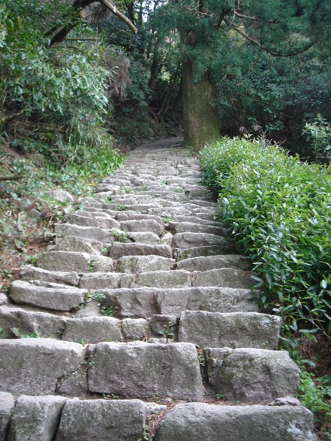 f0138588_20575518.jpg