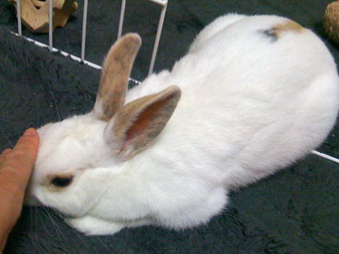 f0201191_12475898.jpg