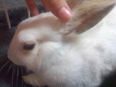 f0201191_12481318.jpg