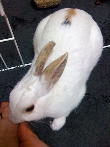 f0201191_12485999.jpg