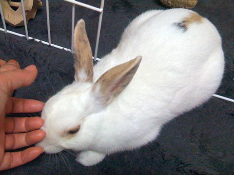f0201191_12491538.jpg