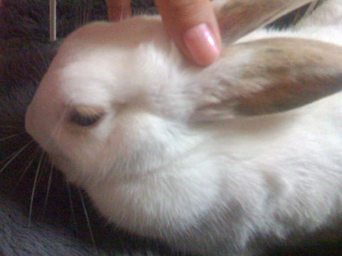 f0201191_12495433.jpg
