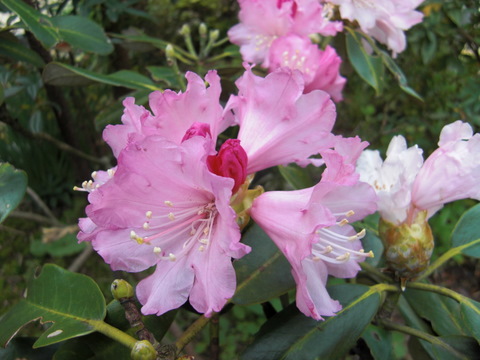 b0169292_10415996.jpg