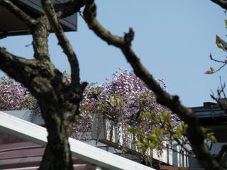 f0130894_2041646.jpg
