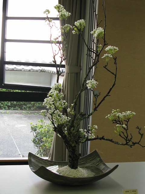 f0181394_13444720.jpg