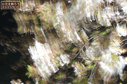 c0129596_13571484.jpg