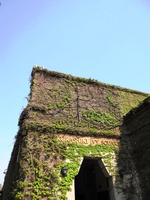 c0173697_117559.jpg