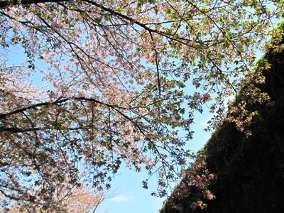c0173697_1221124.jpg