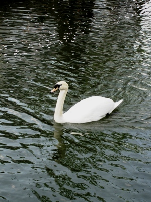 c0173697_1353399.jpg