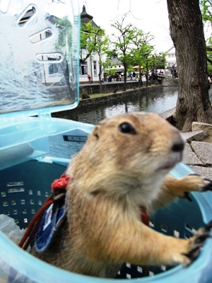 c0173697_1373959.jpg