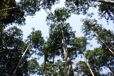 c0129498_19113844.jpg