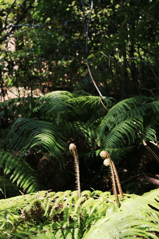 c0129498_19141836.jpg