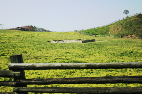 c0129498_1916171.jpg