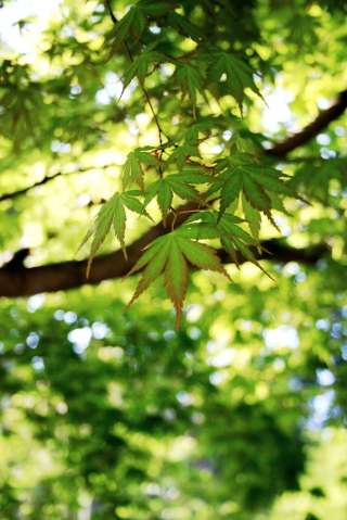 c0129498_21335144.jpg