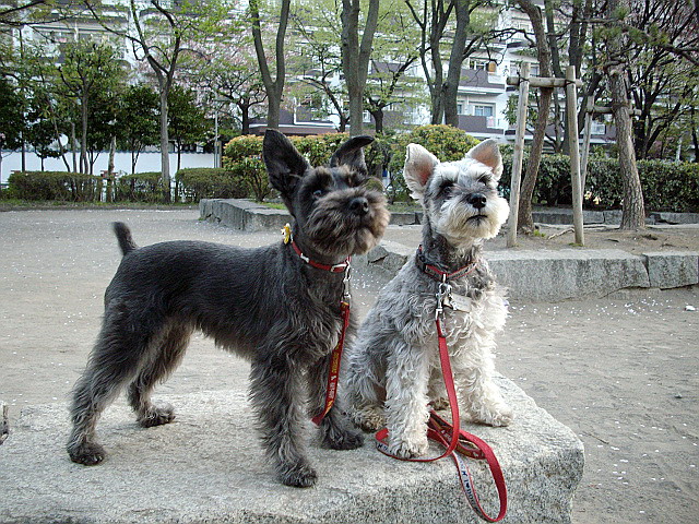c0138198_1658078.jpg
