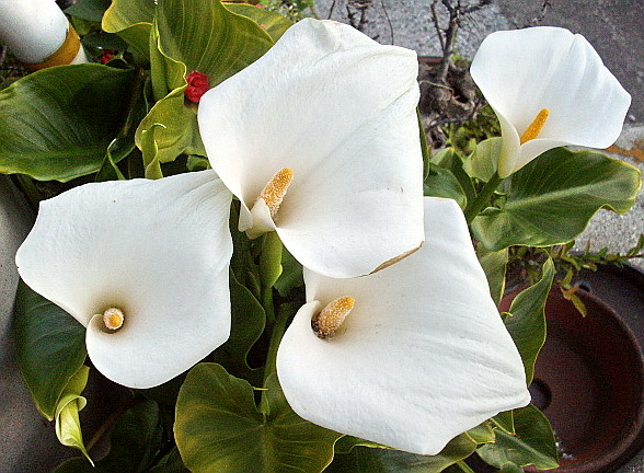 c0138198_17271090.jpg