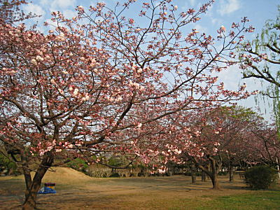 d0046702_13264891.jpg