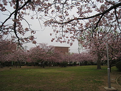 d0046702_13265631.jpg