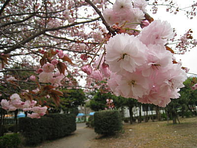 d0046702_13271180.jpg