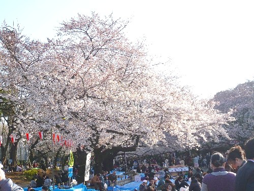 c0058606_128127.jpg