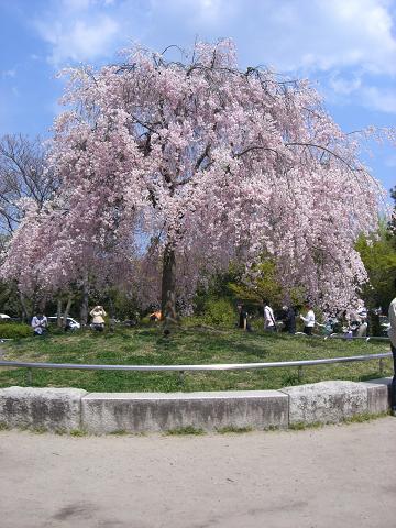 e0155609_092477.jpg