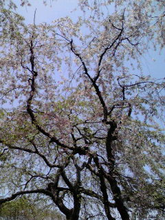 e0140412_1820085.jpg