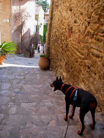 d0062721_6514451.jpg