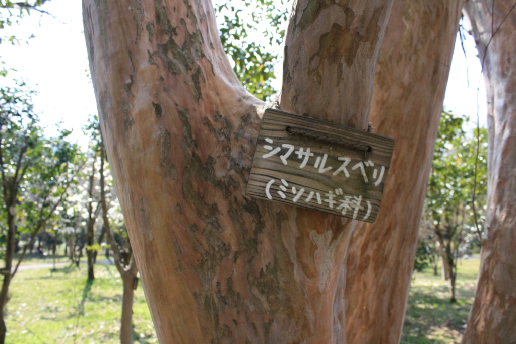 e0123322_21161635.jpg