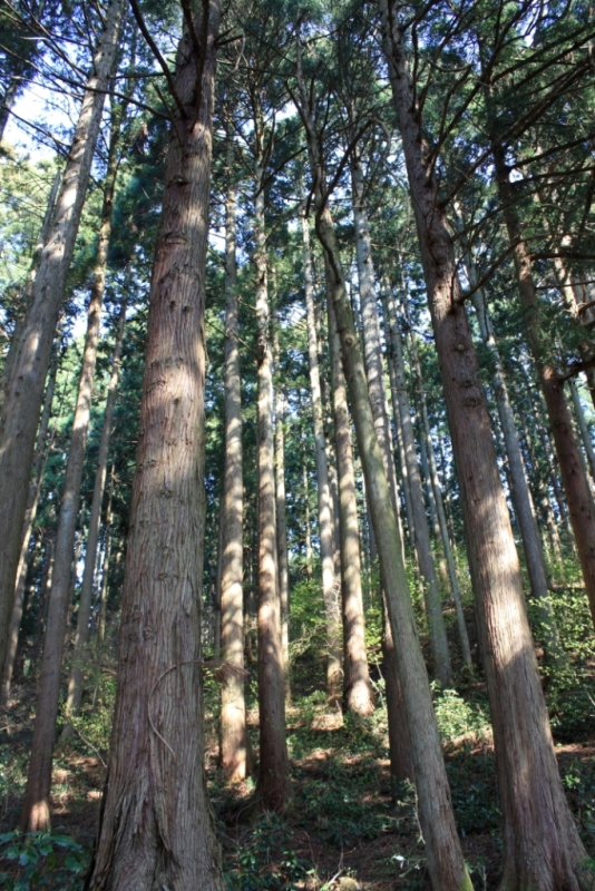 e0123322_21215478.jpg