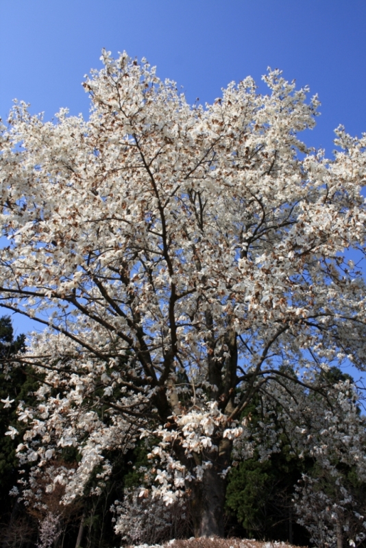 e0123322_21222020.jpg