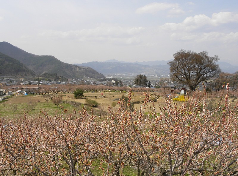e0136424_8563986.jpg