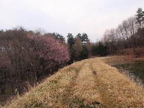 f0022024_21163763.jpg