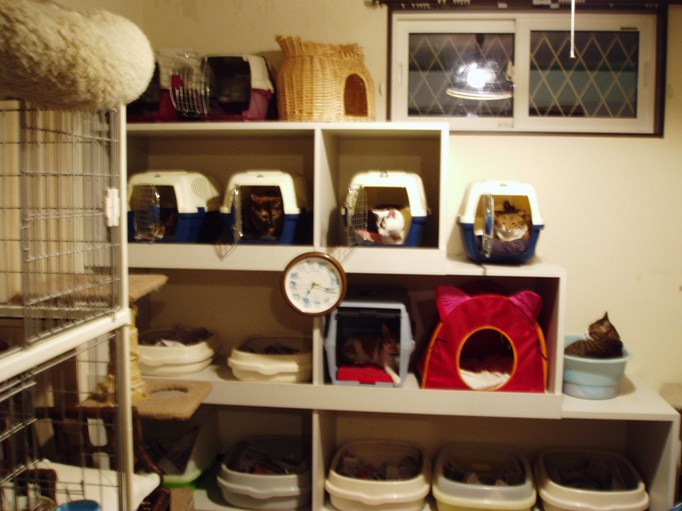 e0000126_2216175.jpg