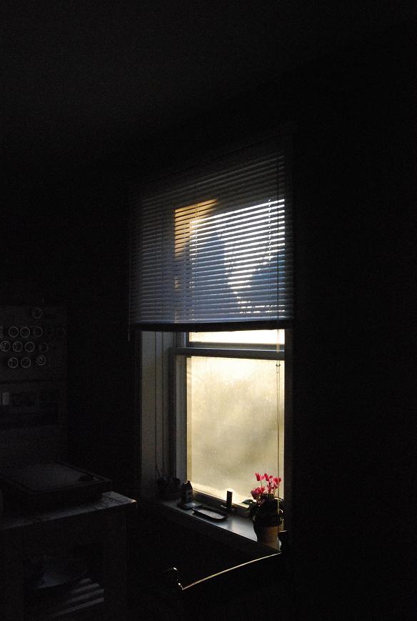 f0111926_0511043.jpg