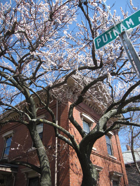f0194826_1132499.jpg