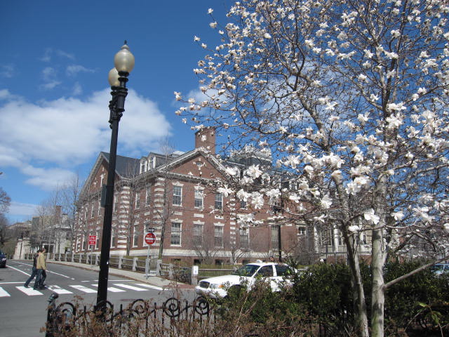 f0194826_113472.jpg