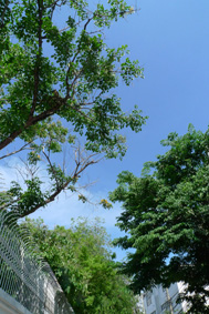 d0042827_18395598.jpg