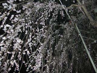 b0041532_10542345.jpg