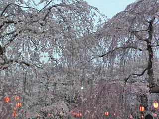 b0041532_11121162.jpg