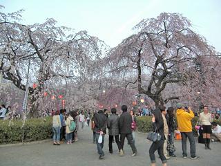 b0041532_116120.jpg