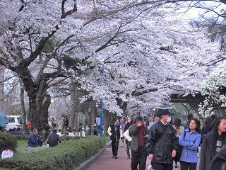 b0041532_1171216.jpg