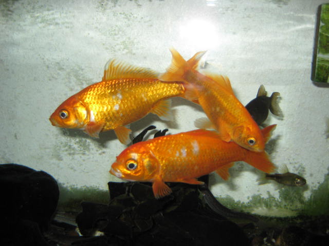 e0166032_20242529.jpg